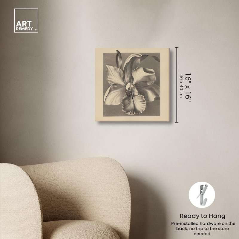 Petals Unfurled II Canvas by Art Remedy, Gallery Wrapped