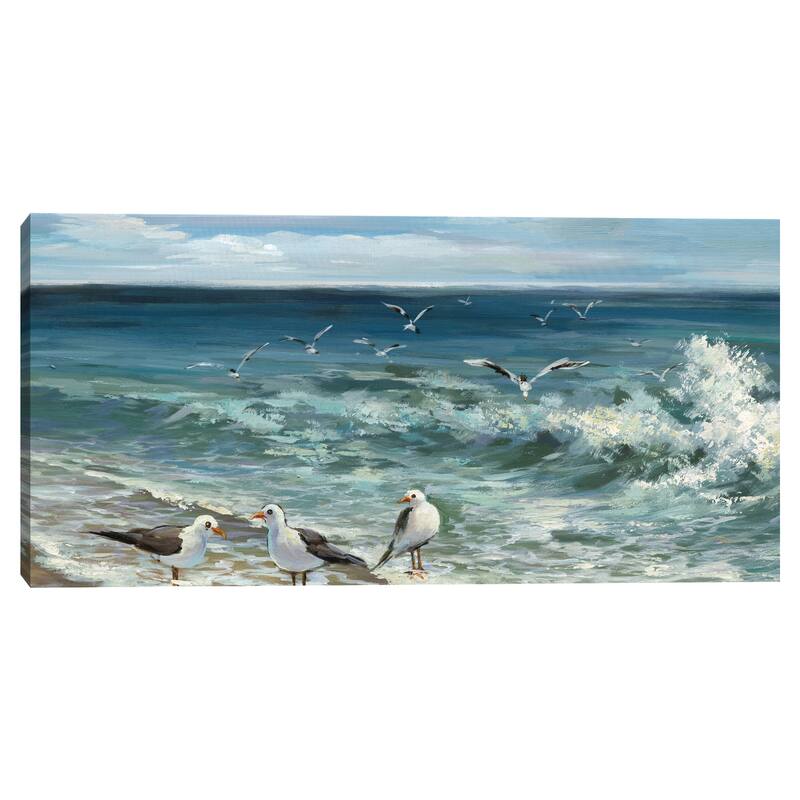 Shorebirds II by Maggie Davis Canvas Art Print