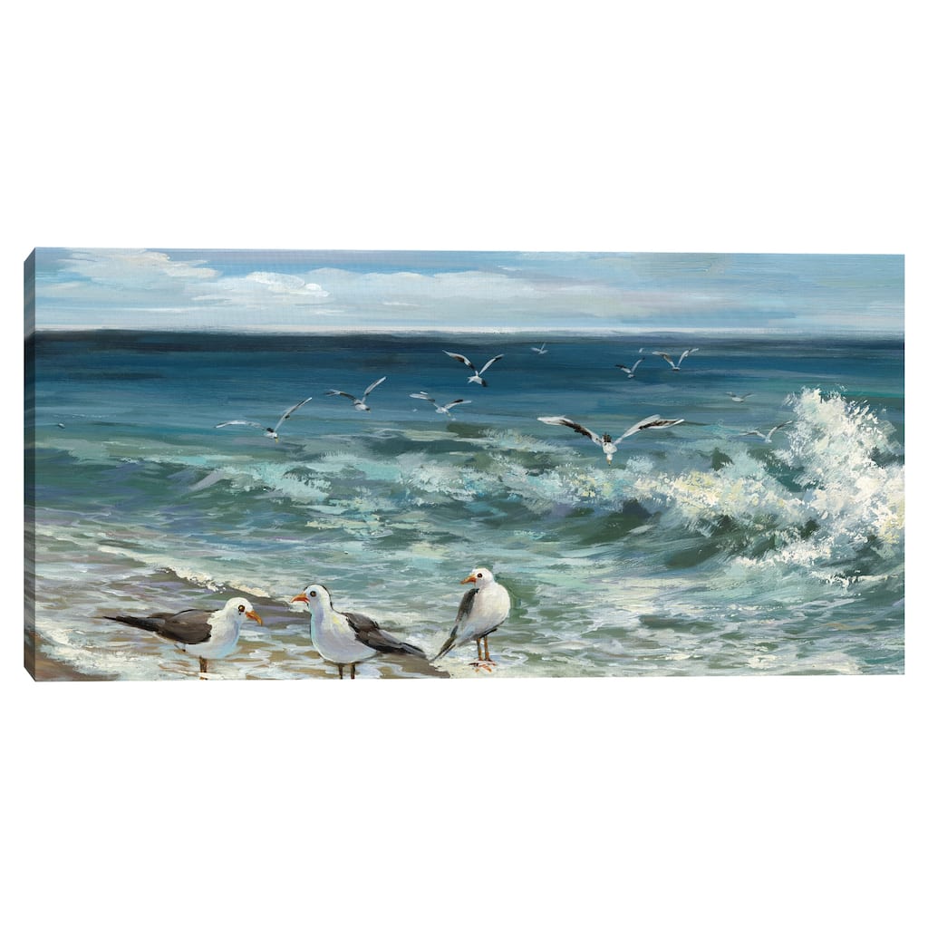 Shorebirds II by Maggie Davis Canvas Art Print