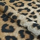 preview thumbnail 11 of 18, Dream Decor Rugs Gelato Jungle Leopard Black Beige Outdoor Area Rug