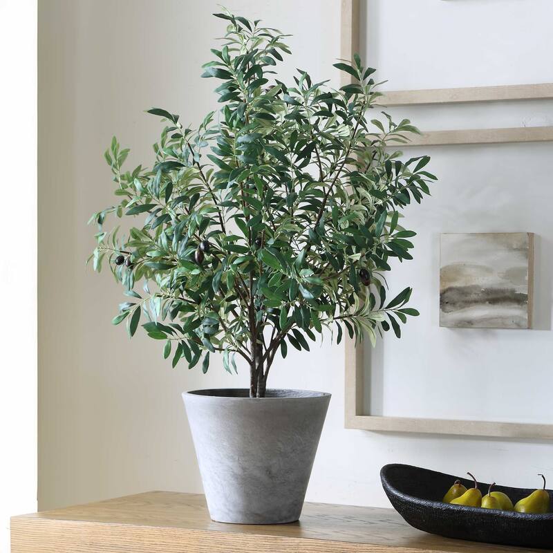 Uttermost Marisol Potted Olive Plant - 28.50" W x 45.25" H x 26.50" D