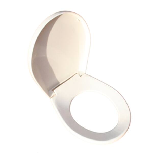 Shop Child Sized Toilet Seat Replacement Biscuit Plastic