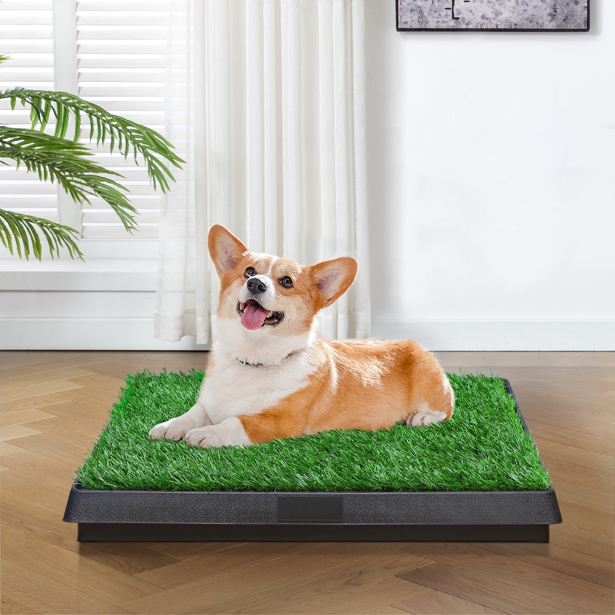 20 X 25 Eco Friendly Dog Potty Artificial Turf for Pet Toileting with drawer 20 X25 Bed Bath Beyond 37962391
