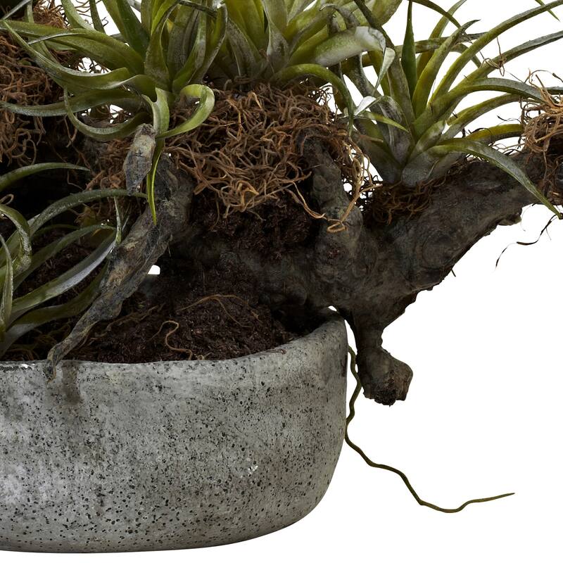 Rustic Succulent Decor Vase