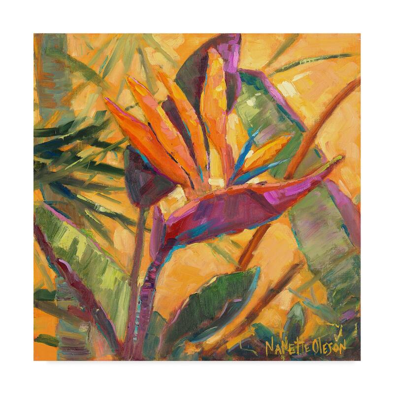 Nanette Oleson 'Splash Of The Tropics I' Canvas Art