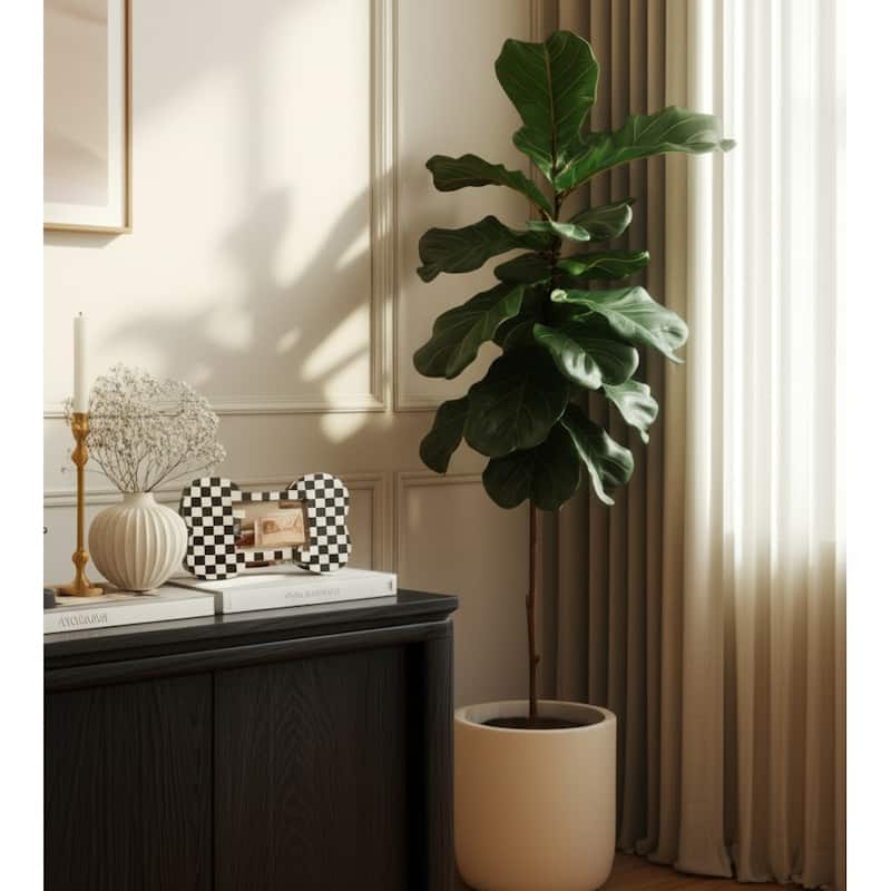 Resin Wood Glass Photo Frame Dog Bone Shape Checkerboard - 9" Ivory - Ivory/ Black - 14" x 1" x 9"
