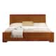Option Oak