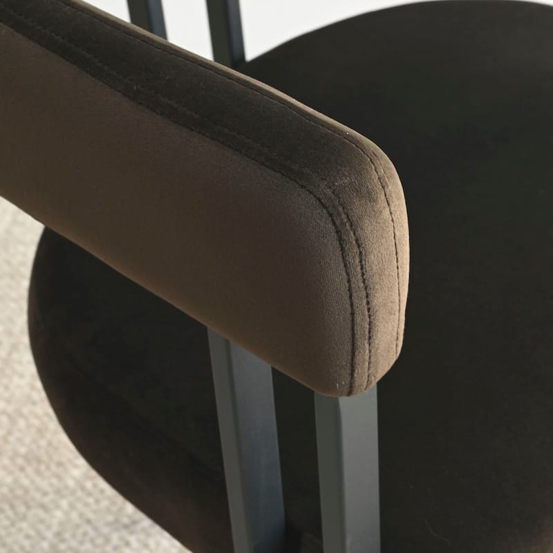 Upholstered Velvet Armchair (Set of 2)