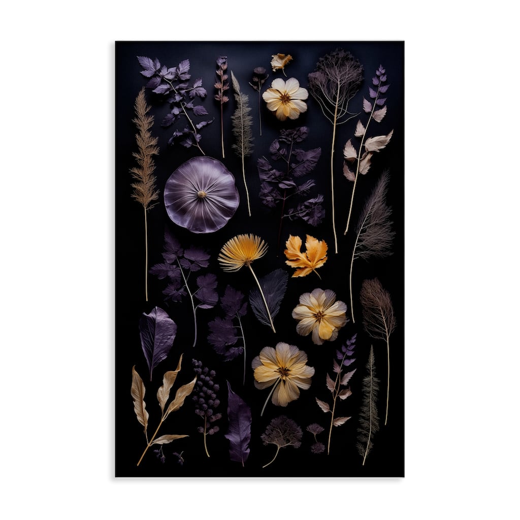 Stupell Flower Specimens on Black Canvas Wall Art Design By Heidi Kuntz