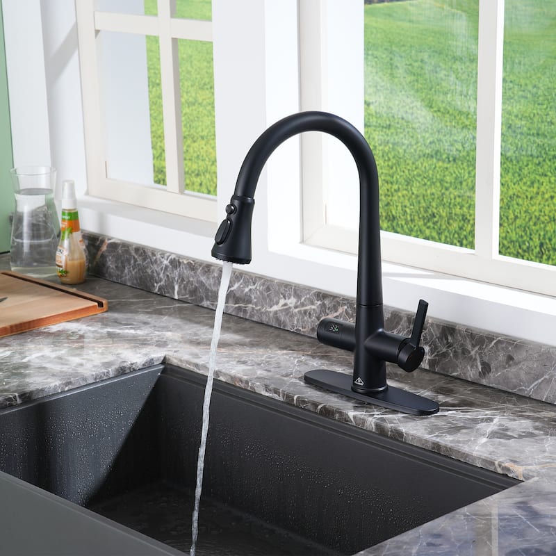 Single-Handle Pull-Out Sprayer Kitchen Faucet with Digital Display