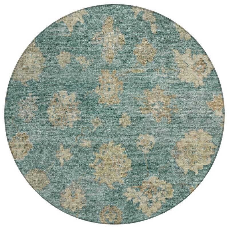 Machine Washable Indoor/ Outdoor Casual Traditional Chantille Rug