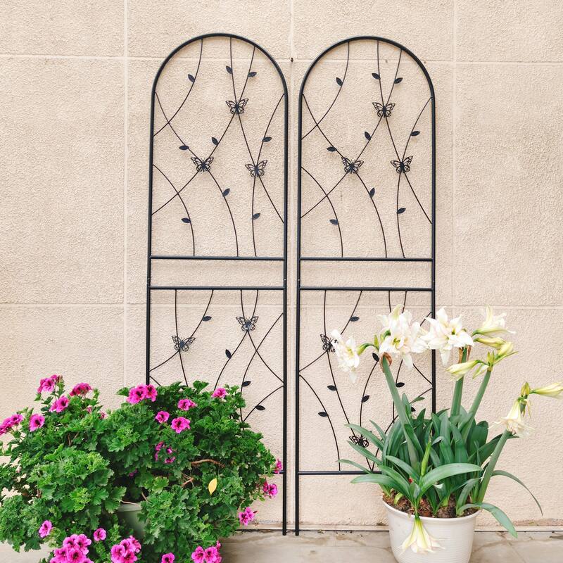 2 Pack Metal Garden Trellis