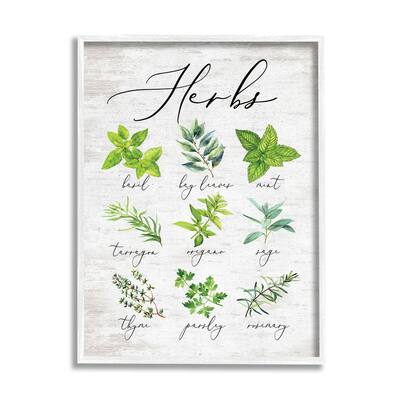 Stupell Kitchen Herb Reference Chart Garden Fresh Home Seasoning Framed Wall Art
