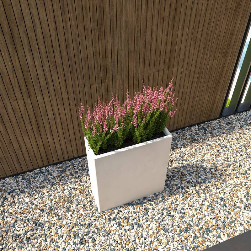 Thistle Rectangular Planter Pot in Fiberstone and MgO Clay With Drainage Holes For Home Garden Office Patio Porch Yard