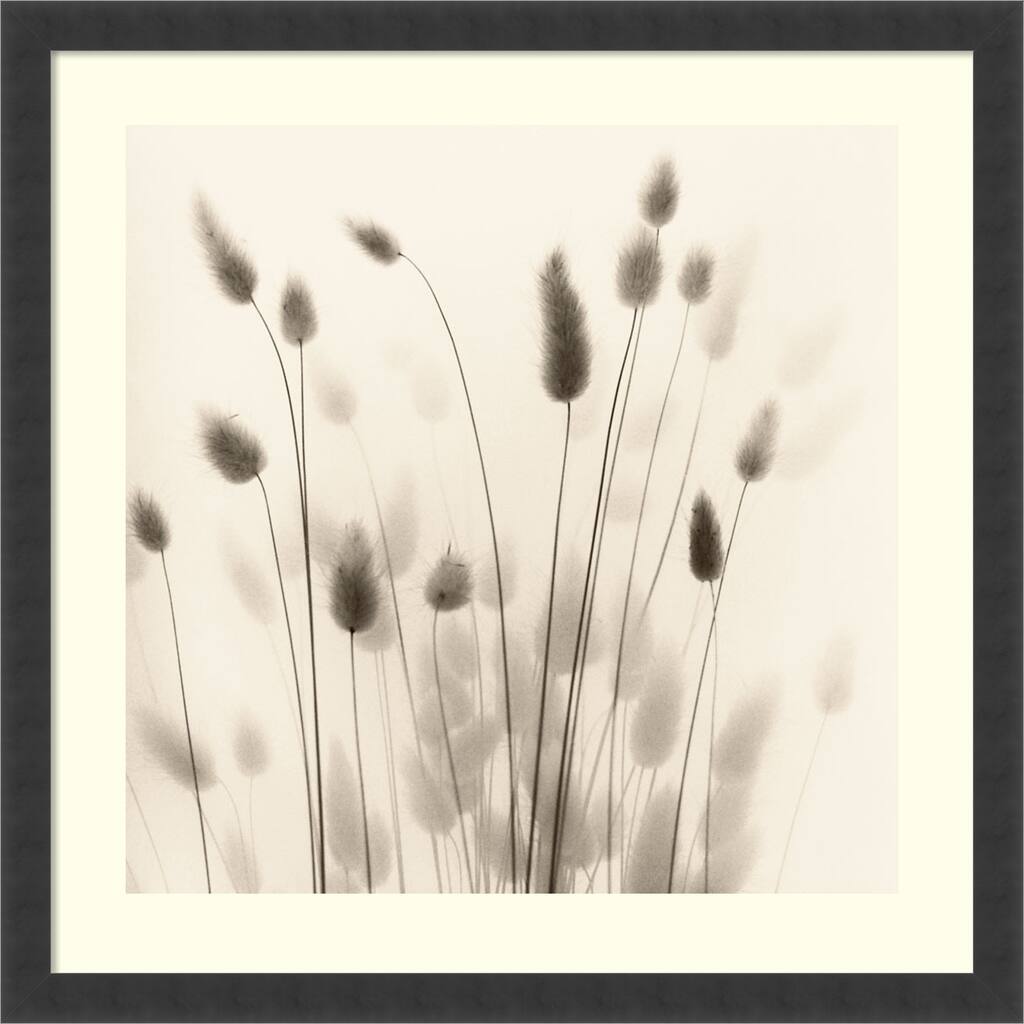 Framed Art Print 'Italian Tall Grass No. 1' by Alan Blaustein 26 x 26-inch