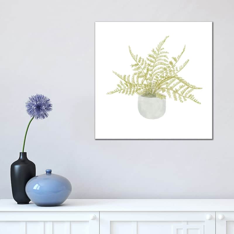 iCanvas "Potted Fern I" by Bannarot Canvas Print - 18x18x1.5