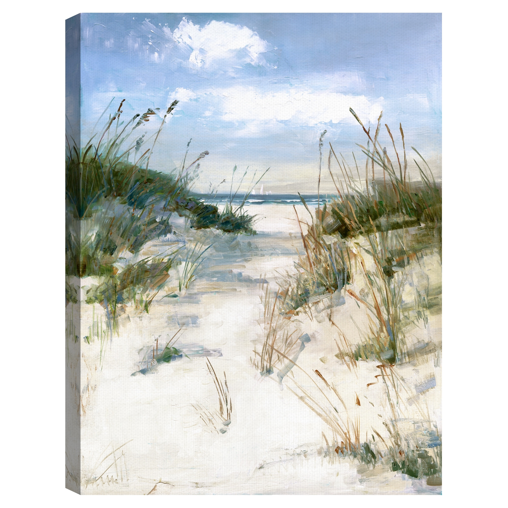 Dune View by Sally Swatland Canvas Art Print