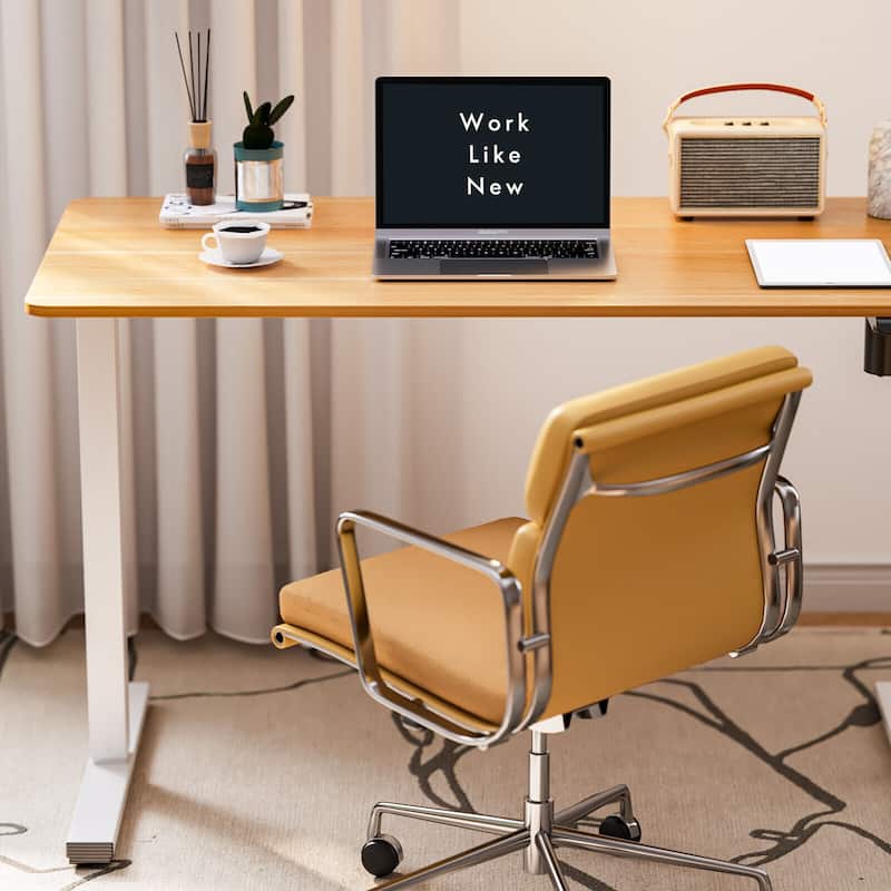 FlexiSpot Electric Standing Desk Whole-Piece Desk Board Computer Desk Height Adjustable Desk for Home Office