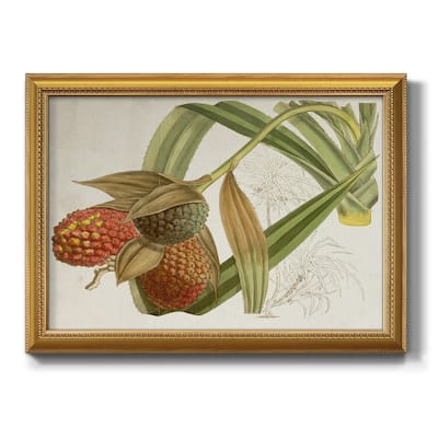 Tropical Foliage & Fruit III Premium Framed Canvas- Ready to Hang