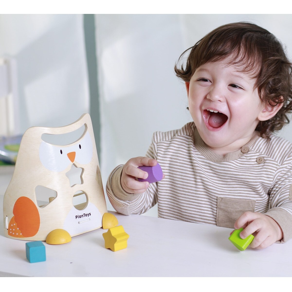 Plan toys owl sorter sale