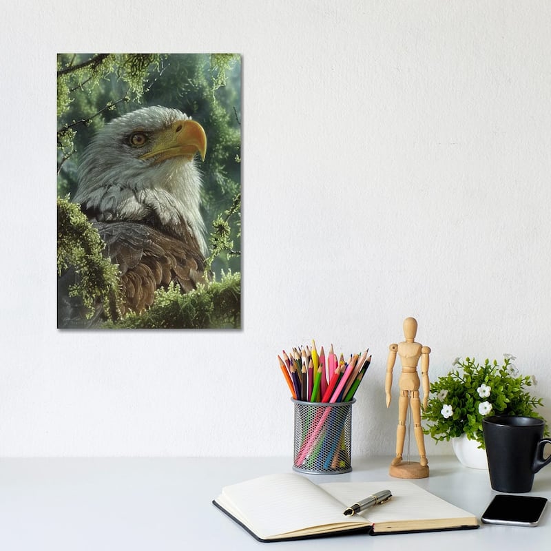 iCanvas "Bald Eagle - High And Mighty - Vertical" by Collin Bogle Canvas Print - 12x8x0.75