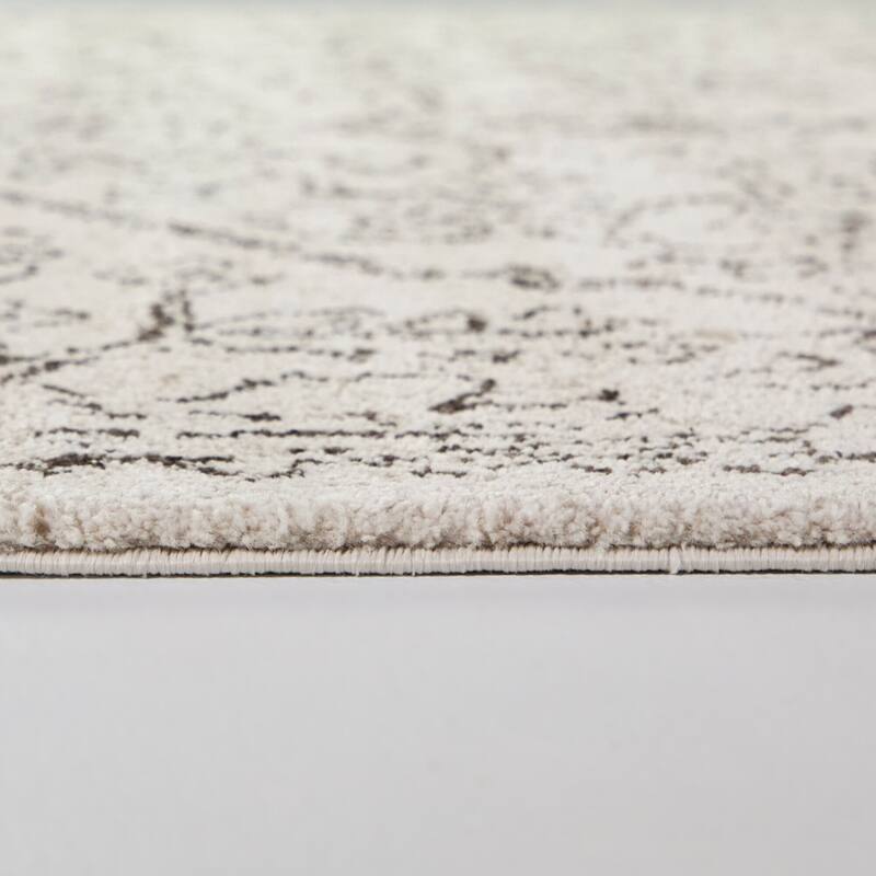 Aleksis Oriental Medallion Area Rug