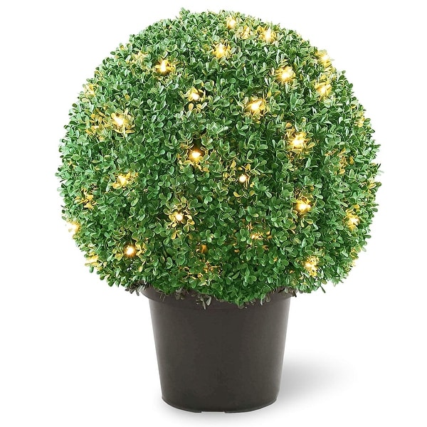 1.83' x 18" Pre-Lit Artificial Boxwood Ball Shaped Topiary Tree - Clear Lights - N/A