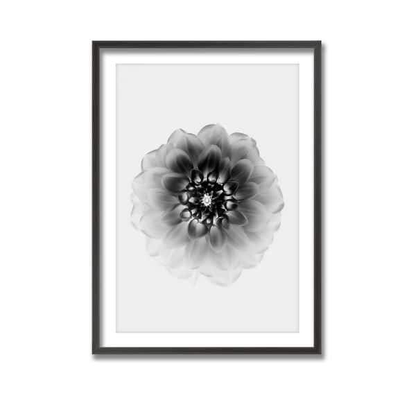 slide 2 of 3, "X-Ray" Framed Print Wall Art by Alex Zhao