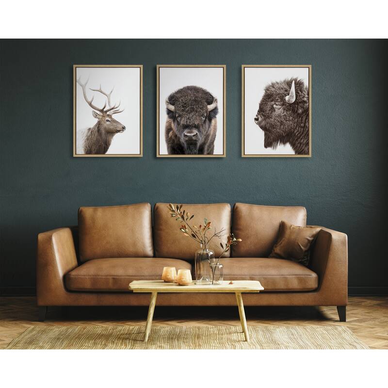Kate and Laurel Sylvie Bison Profile Framed Canvas by Amy Peterson Art Studio