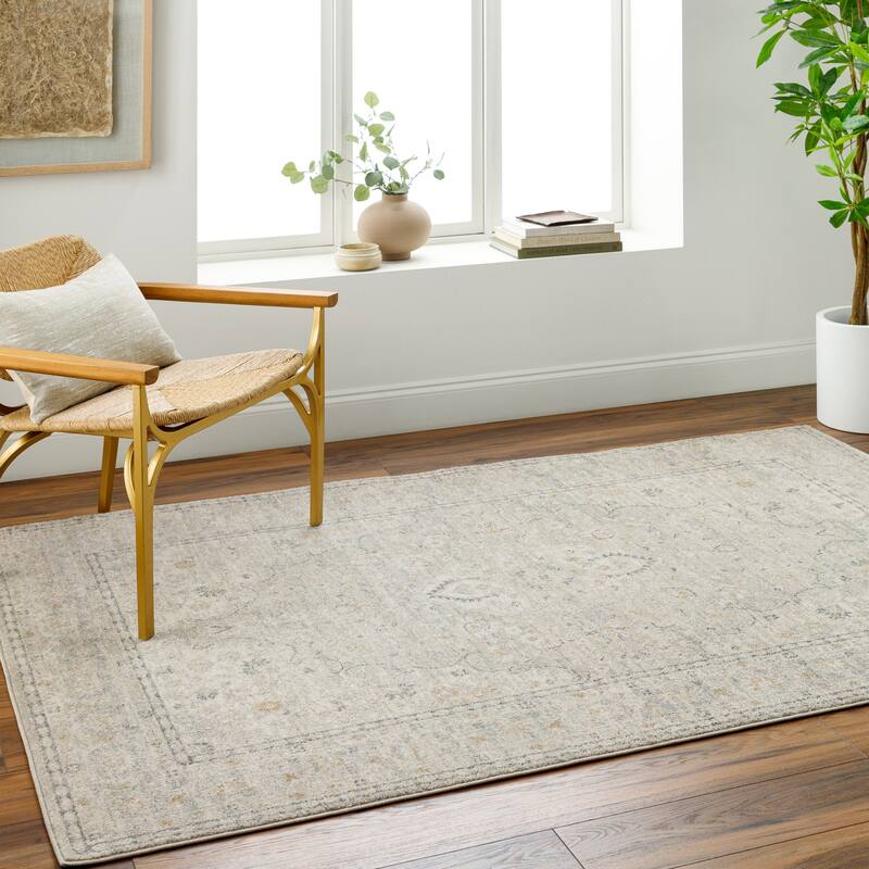 Ramirez Traditional Area Rug - Gray - 5' 3" x 7'
