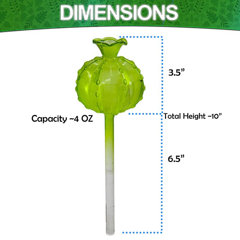 Aqua Glass Plant Watering Cactus Ball Globes - Automatic Self Watering Drip Irrigation Ideal for Vacation Plant Care