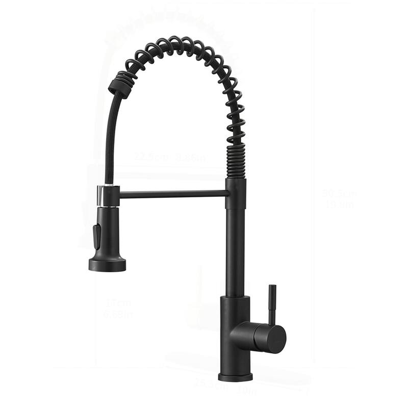 Kitchen Faucet with Pull Down Sprayer and Single Handle