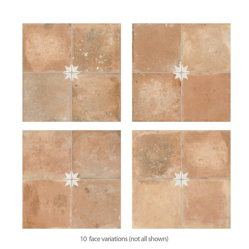 Merola Tile Kings Nonna with White Star 17-7/8" x 17-7/8" Porcelain Floor and Wall Tile