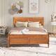 Option Oak