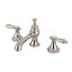 Option Polished Nickel