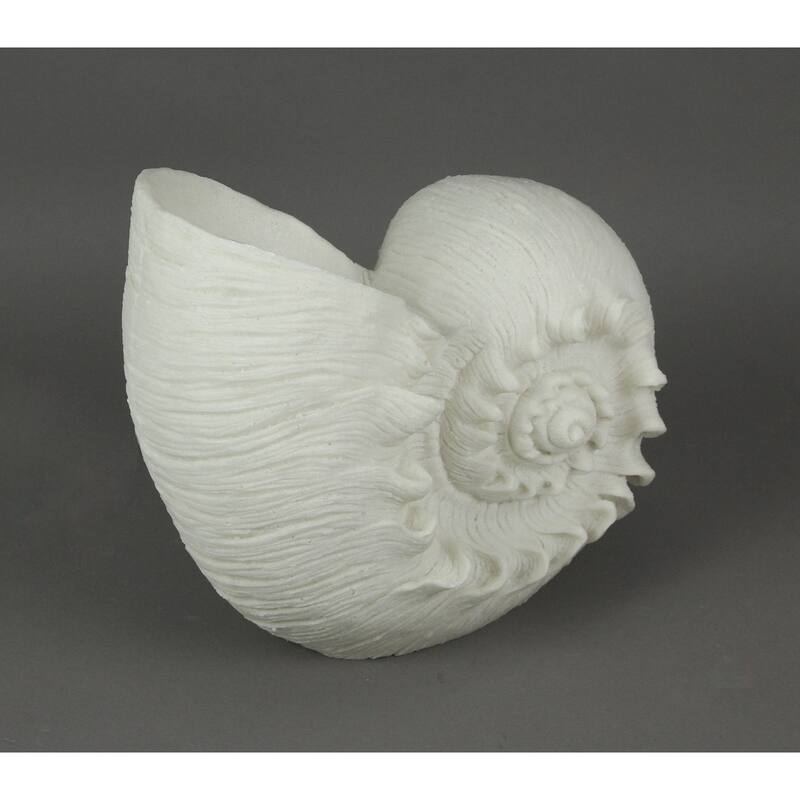White Sandstone Finish Frilled Nautilus Shell Accent Lamp 10 Inch - 10 X 11.5 X 6.75 inches