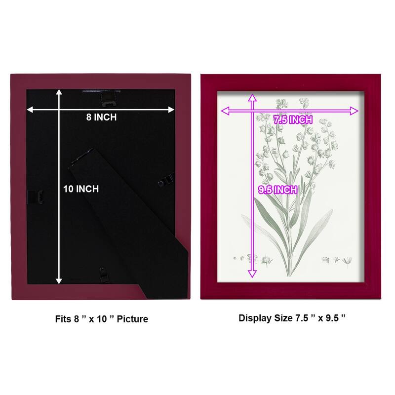 Botanical Study in Sage I -Framed Print w/glass-Cherry Red
