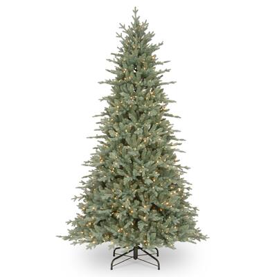 7.5 ft. Buckingham Blue Spruce Tree with Clear Lights