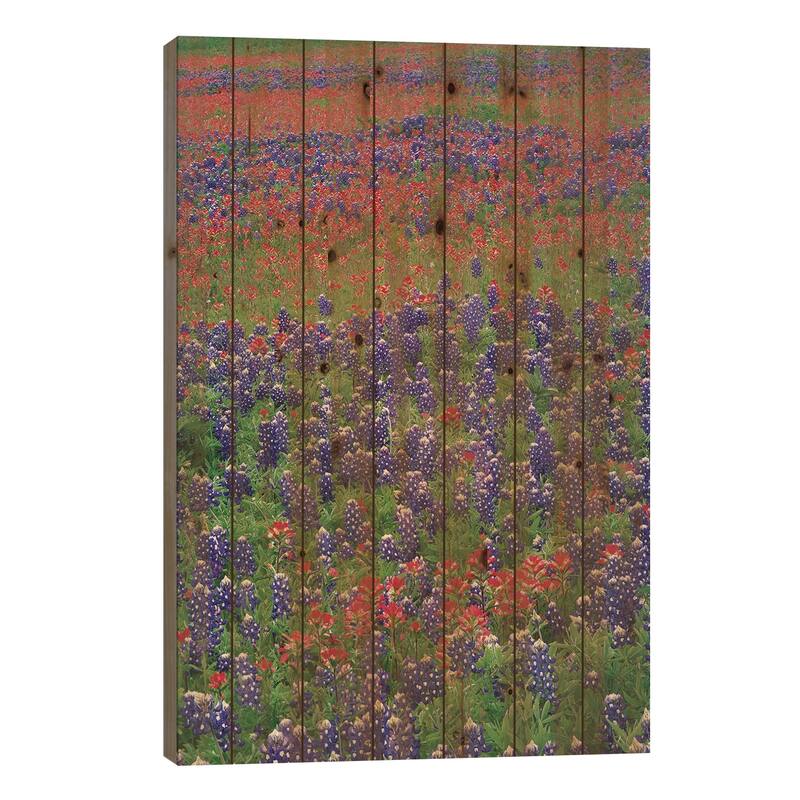 Sand Bluebonnet And Paintbrush Flowers, Hill Country, Texas III Print On Wood by Tim Fitzharris - Multi-Color - 26x18x1.5