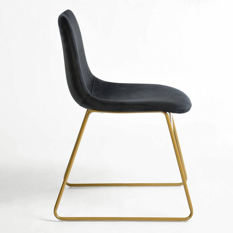 Homylin Batassel Velvet Dining Chairs, Upholstered Reception Chairs, with Metal Legs for Home Kitchen, Living Room(set of 2)