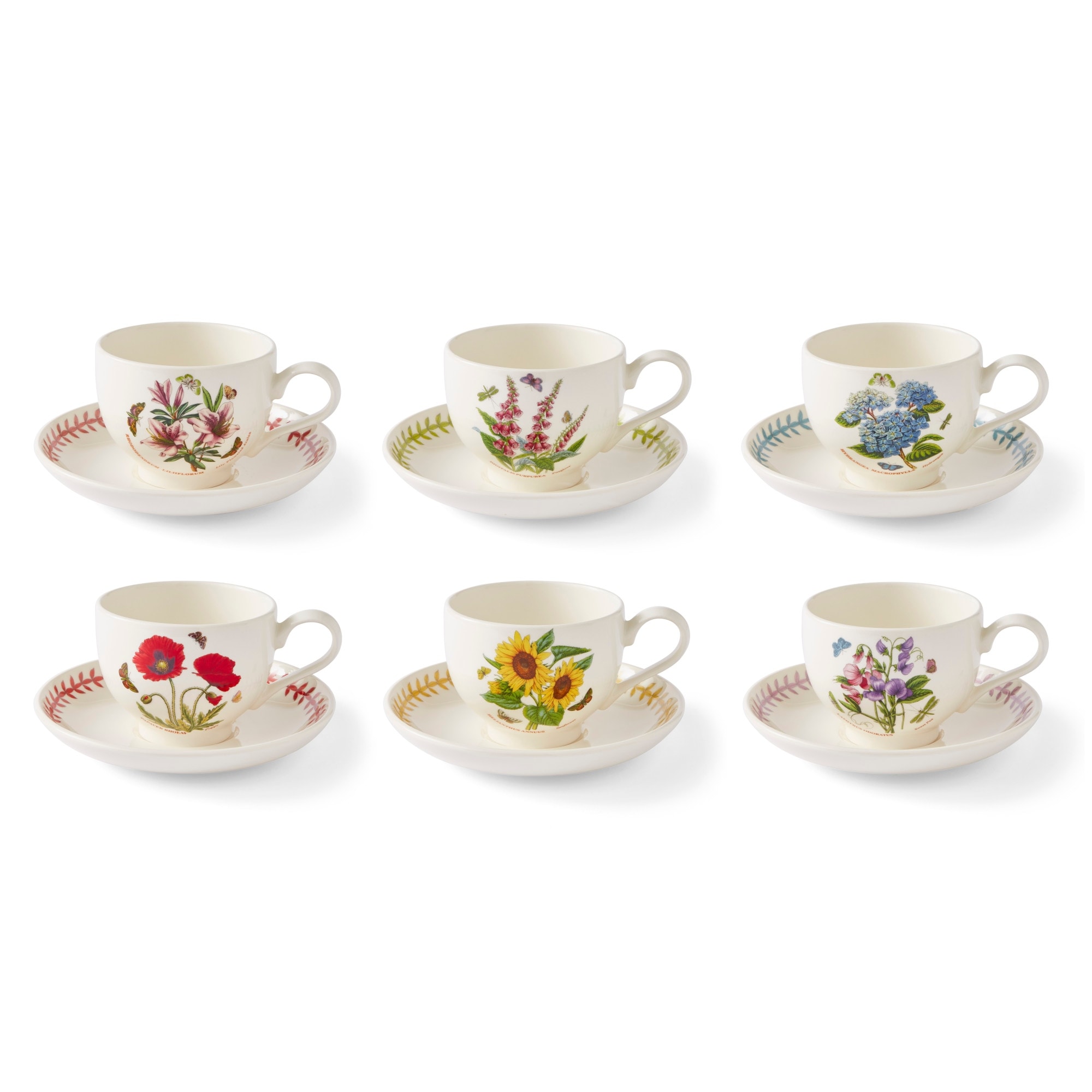 Portmeirion Botanic Garden Set of 6 Meadow Breakfast Cup and Saucer - 8.5 oz