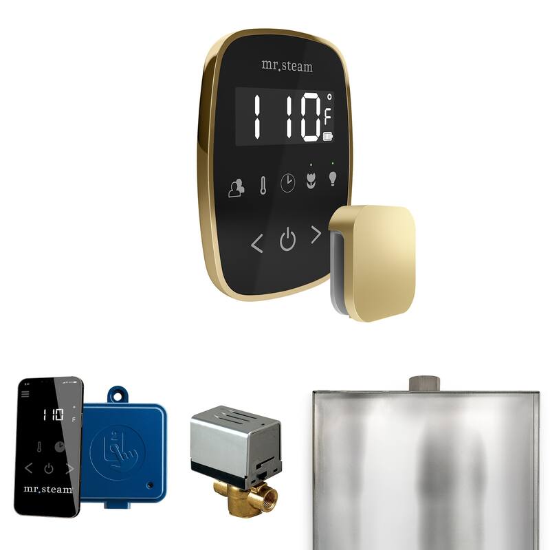 Mr Steam BF Butler Flex Package Steam Shower Control Package with - Black / Satin Brass