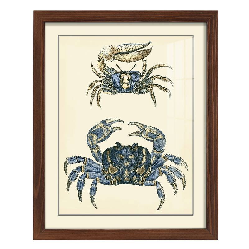 Antique Blue Crabs II -Framed Print w/glass-Cherry Red - 12x15 - Maple