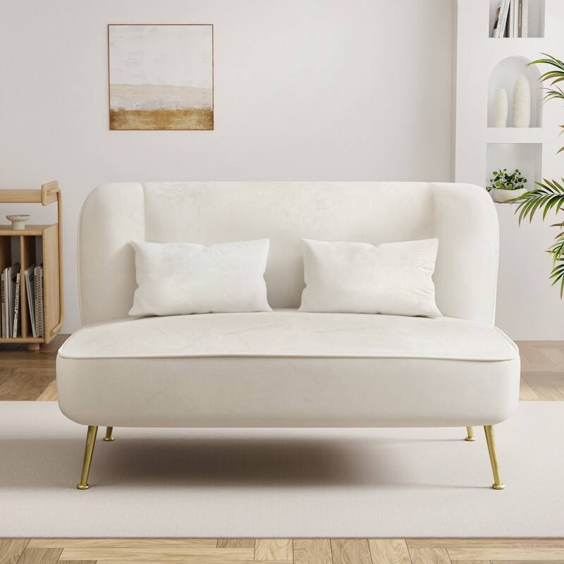 Two Pillows Velvet Upholstered Metal Loveseat