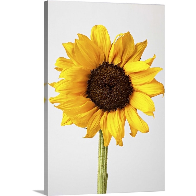 Shop Sunflower Canvas Wall Art Overstock 16441084