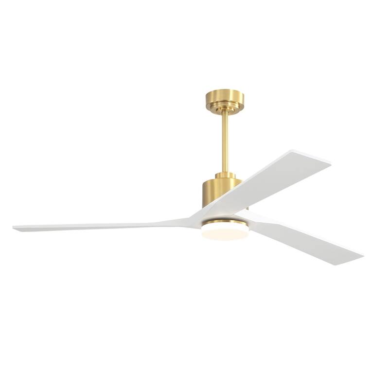 WINGBO 64" DC Motor Indoor Ceiling Fan with LED Light & Remote