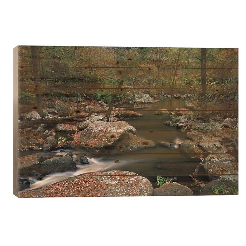 Cedar Creek Flowing Through Deciduous Forest, Petit Jean State Park, Arkansas Print On Wood by Tim Fitzharris - Multi-Color - 18x26x1.5
