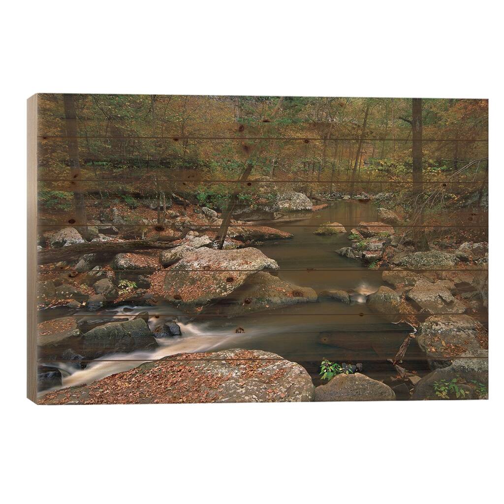 Cedar Creek Flowing Through Deciduous Forest, Petit Jean State Park, Arkansas Print On Wood by Tim Fitzharris - Multi-Color