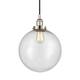 Option Polished Nickel / Seedy