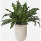 preview thumbnail 5 of 3, Uttermost 60229 Verdure Fern 16-1/4" Tall Ceramic Faux Flora Planter - Tan
